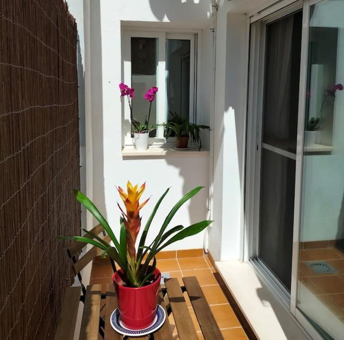 Estudio 52 Malaga Centrico Parking Gratuito Apartment Luaran gambar